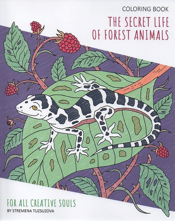 The Secret Life Of Forest Animals
