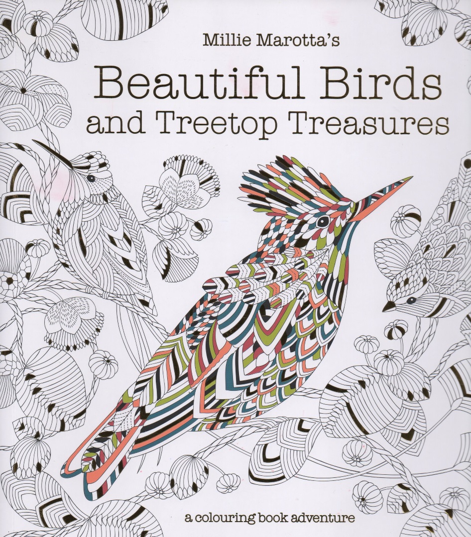 Beautiful Birds and Treetop Treasures